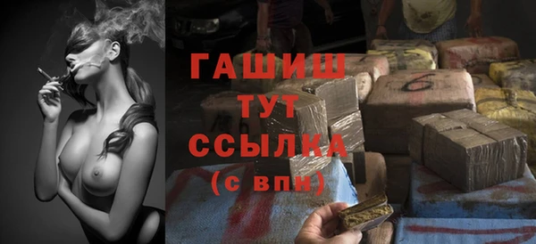 сатива Покачи