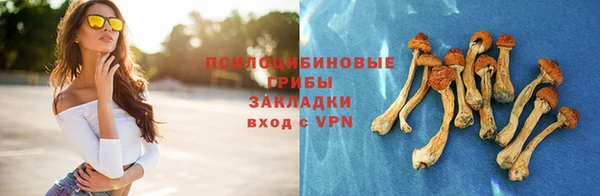 крисы Алексеевка
