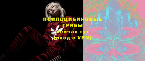 ешки Алзамай