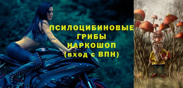 ешки Алексин