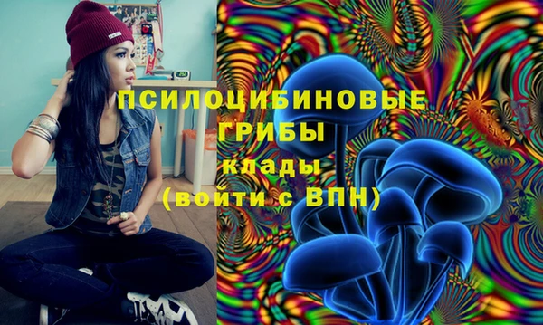 ешки Алзамай