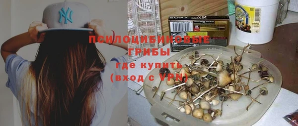 крисы Алексеевка