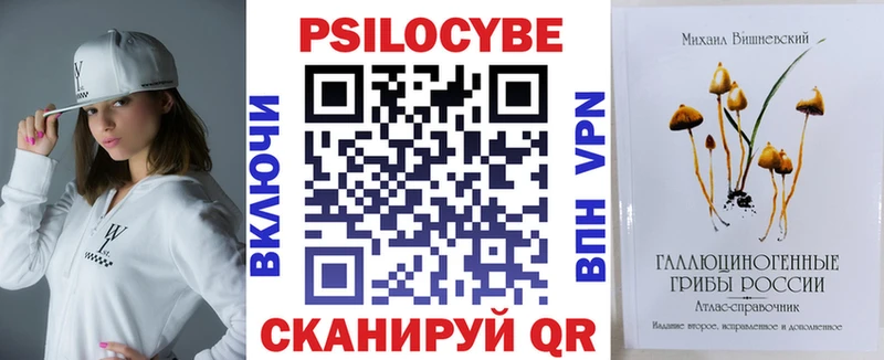 где продают   Беслан  Галлюциногенные грибы Psilocybine cubensis 