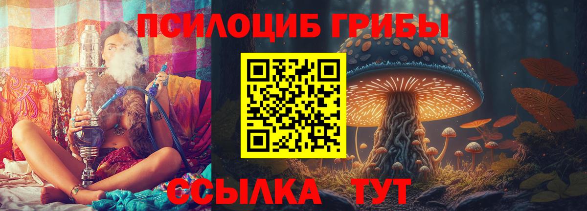 Беслан  Псилоцибиновые грибы ЛСД  закладка  Вход с VPN 