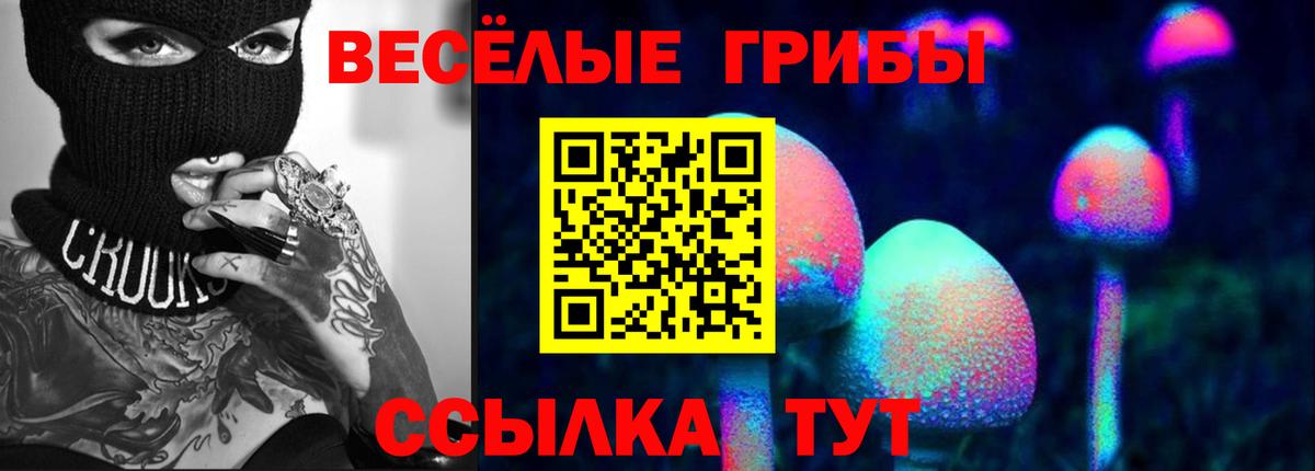 Псилоцибиновые грибы GOLDEN TEACHER Беслан